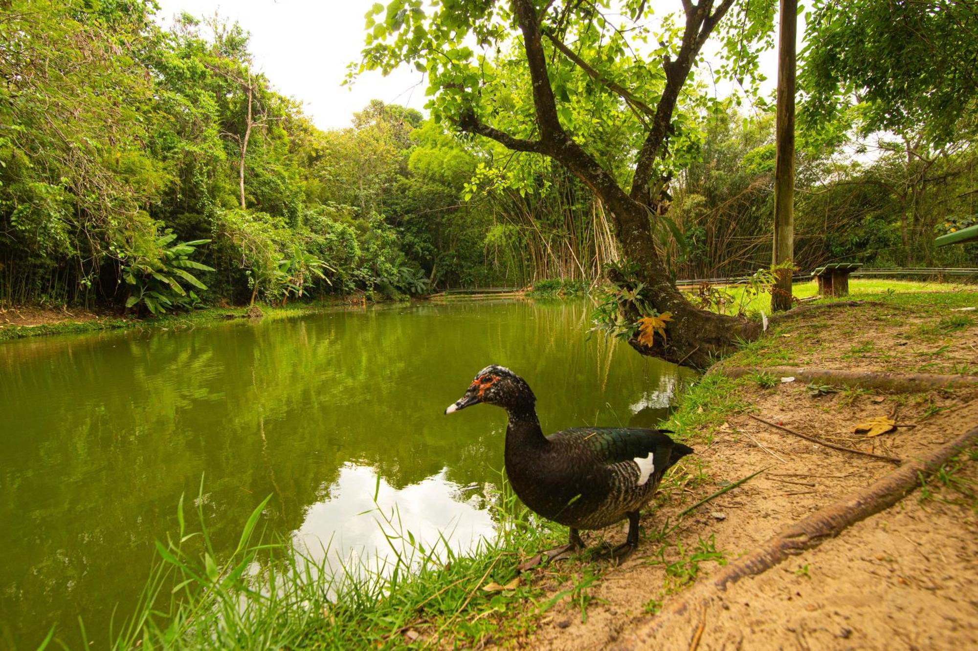 Hotel Fazenda Fonte Colina Verde Сао Педро Екстериор снимка